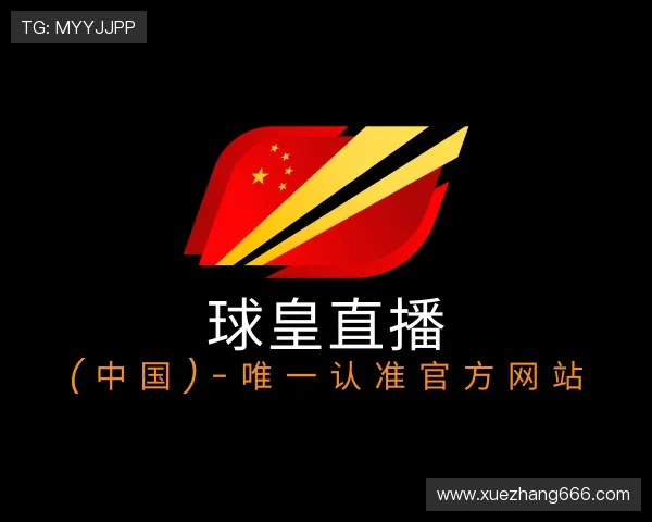 关于球皇官网